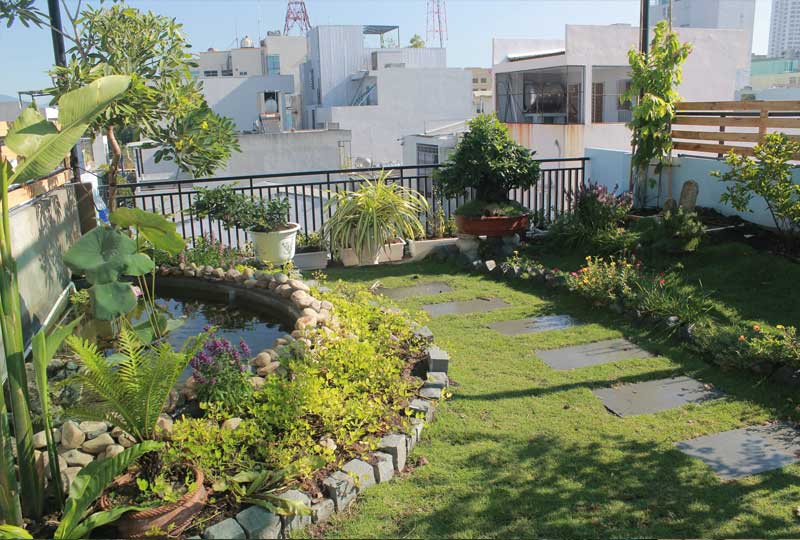 4 cách cải tạo sân thượng thành vườn độc đáo, ấn tượng nhất 2024 - Báo Đồng Khởi Online